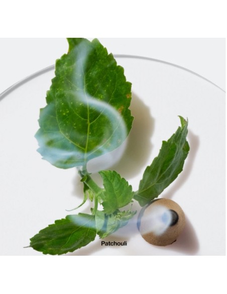 Aromatic Elixir Eau De Parfum Spray 100ml