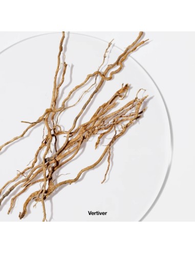 Aromatic Elixir Eau De Parfum Spray 100ml