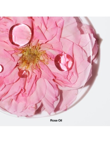 Aromatic Elixir Eau De Parfum Spray 100ml