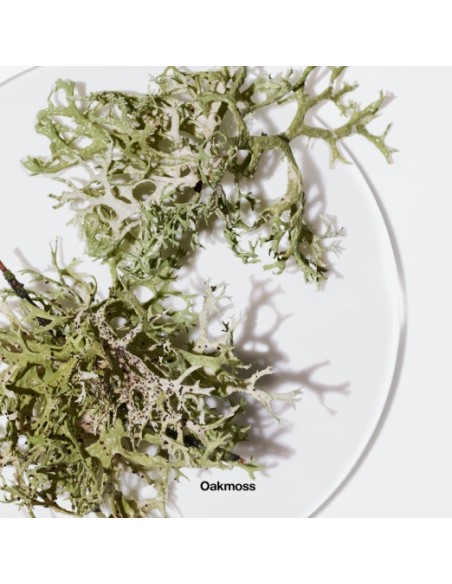 Aromatic Elixir Eau De Parfum Spray 100ml