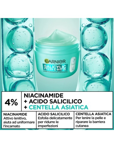 Garnier Salicylic Fresh & Matte Sorbetto...