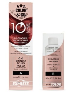 Crema colorante 10min - 6.6 Biondo Rosso Scuro - ALAMA