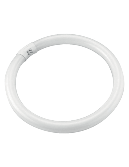 Melcap Neon T5 Per Lampada Ovale