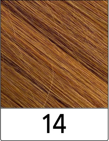 Extension con Clip Remy's (14 BIONDO CHIARO)...