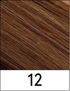 Extension con Clip Remy's (12 BIONDO CHIARO DORATO)...