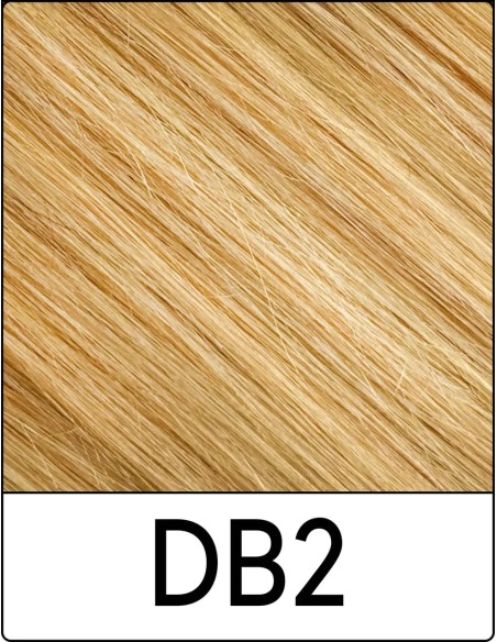 Extension con Clip Remy's (DB2 BIONDO CHIARO DORATO) 55/60cm - Sohair