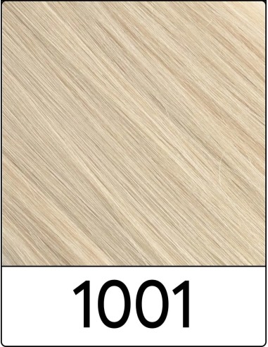 Extension con Clip Remy's (1001 BIONDO PLATINO)...