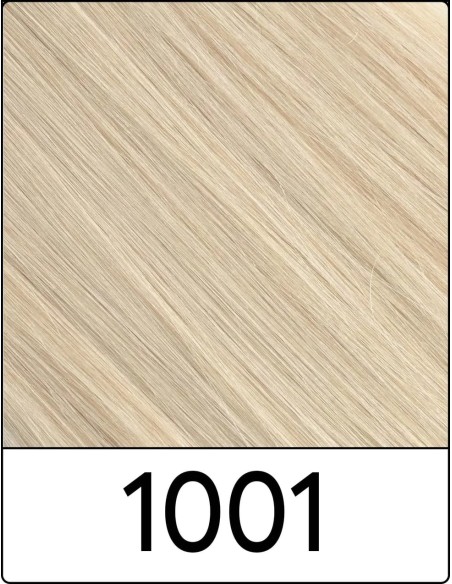 Extension con Clip Remy's (1001 BIONDO PLATINO) 55/60cm - Sohair