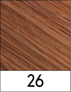 Extension con Clip Remy's (26 BIONDO CHIAR.MO DORATO)...