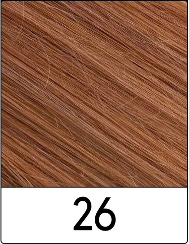 Extension con Clip Remy's (26 BIONDO CHIAR.MO...