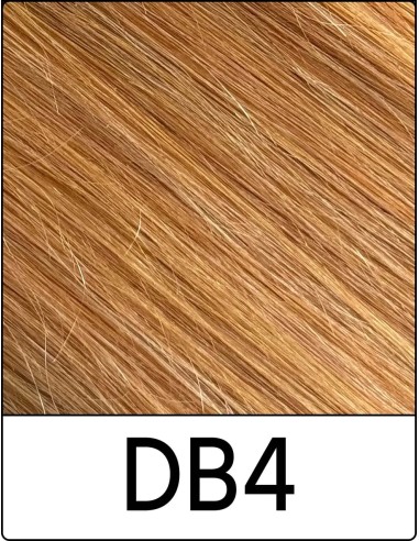 Extension con Clip Remy's (DB4 BIONDO DORATO...