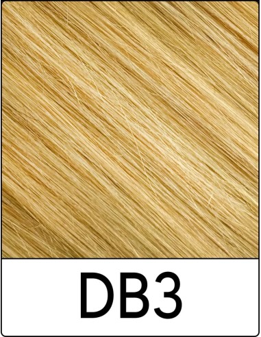 Extension con Clip Remy's (DB3 BIONDO DORATO...