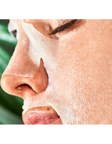 Iroha Nature Maschera Viso in Tessuto Idratante Avocado